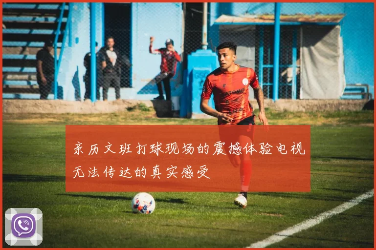 亲历文班打球现场的震撼体验电视无法传达的真实感受